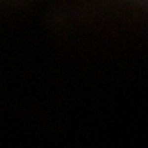 Meet your Posher, Dolly